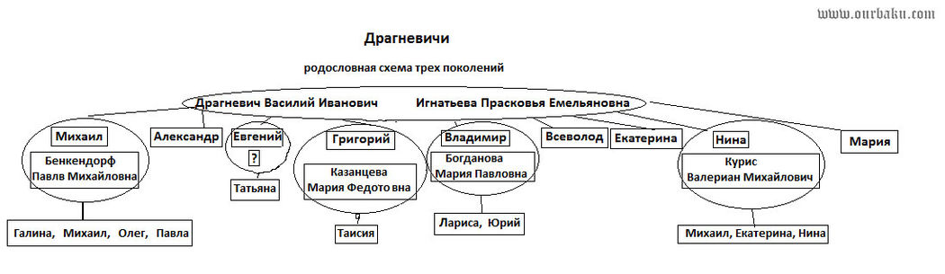 Схема истории рода 5